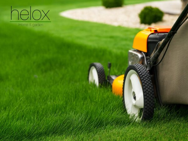 Zöldterület karbantartás